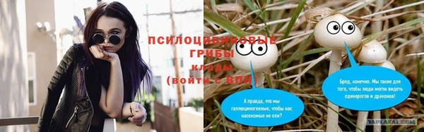 винт Коряжма
