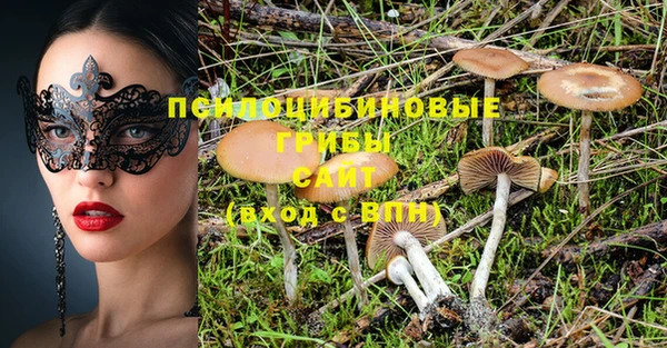 спиды Костерёво