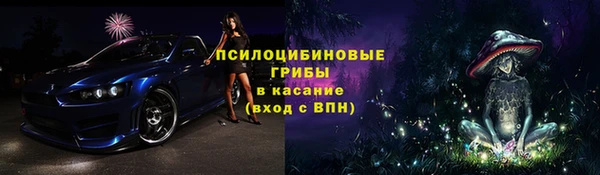 СК Куйбышев