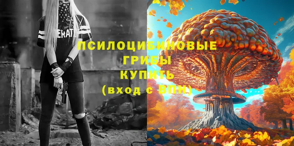 индика Кулебаки