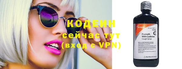 крисы Козельск