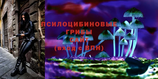 СК Корсаков