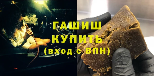 индика Кулебаки