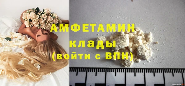 индика Кулебаки