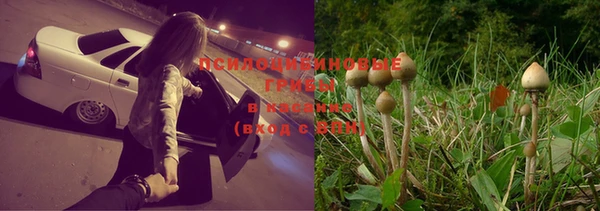 СК Куйбышев