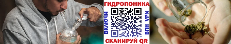 Бошки марихуана VHQ  Называевск 